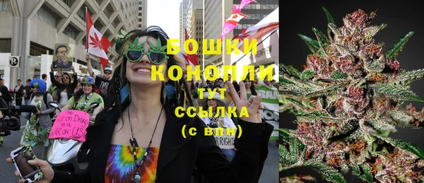 прущий лед Вязьма