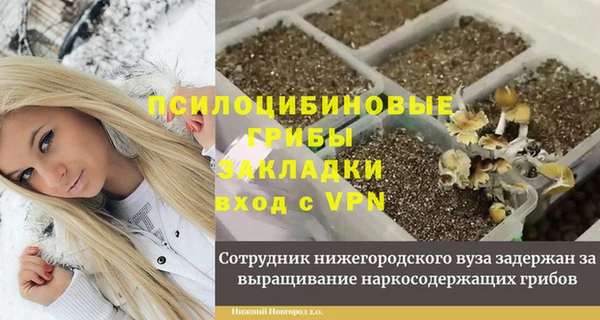 прущий лед Вязьма