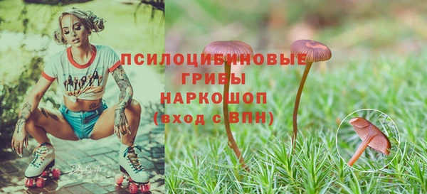 гидропоника Вязники