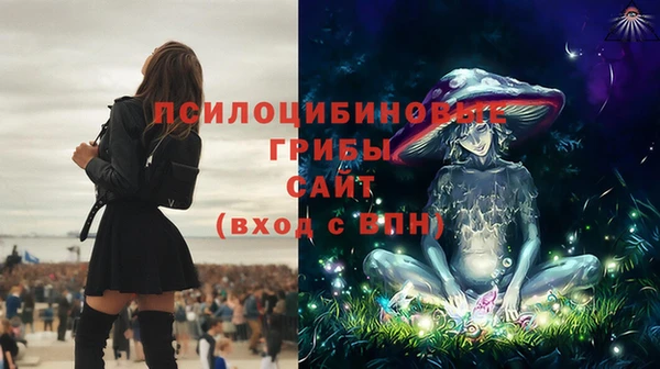 прущий лед Вязьма